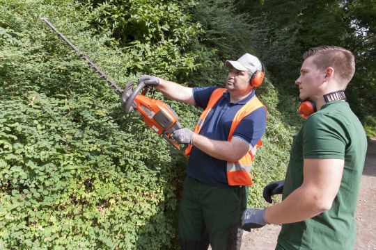 Zwei Mitarbeiter mit Ohrenschützern und in grünen Arbeitshosen schneiden Gebüsch mit einer Heckenschere.